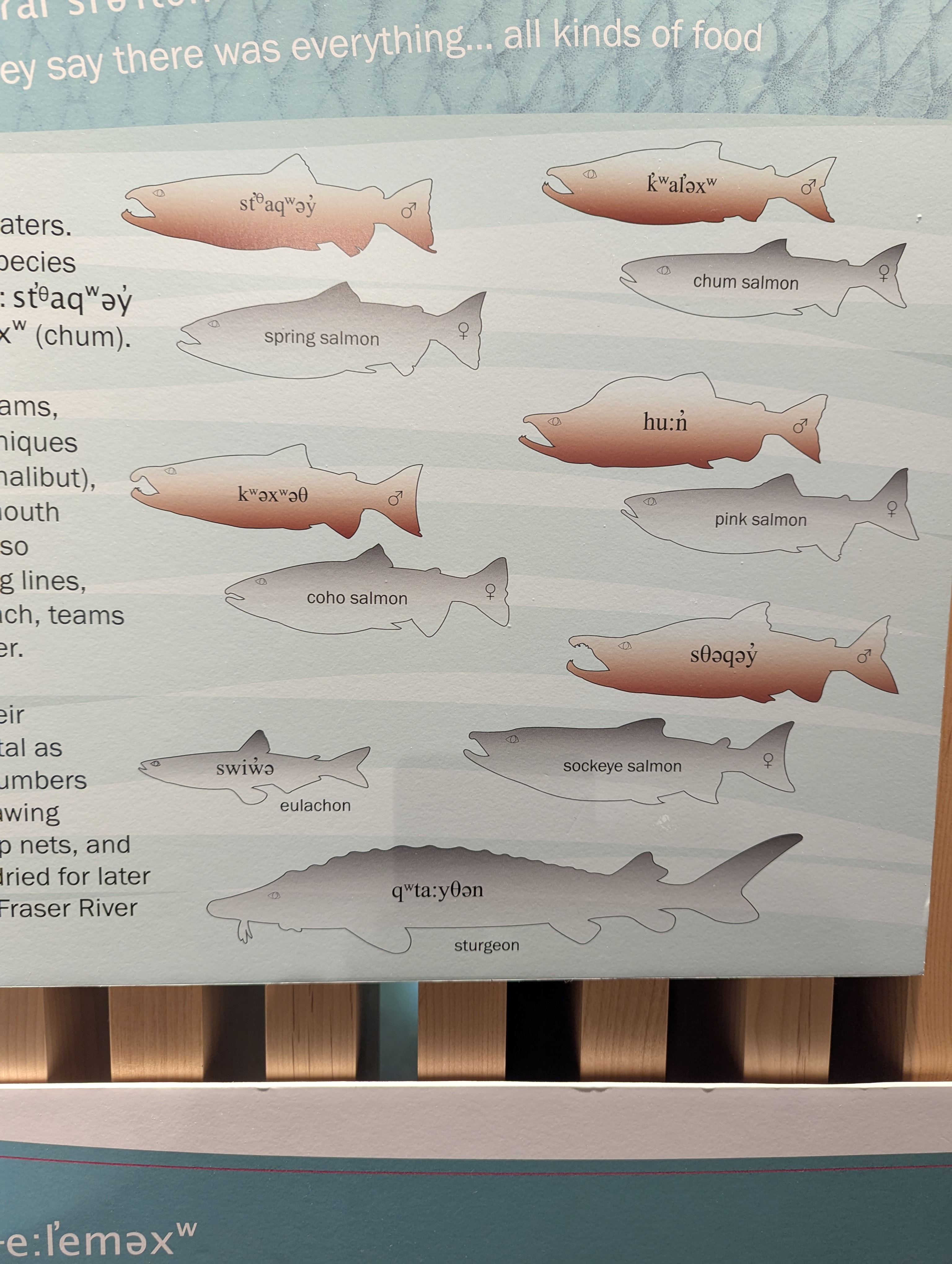 Birthday Trip to Canada, Delta, Museum, Vancouver